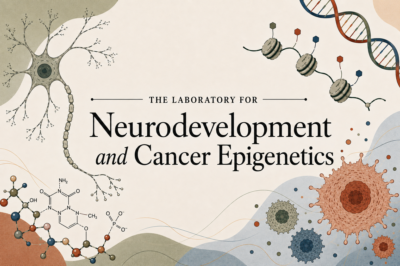 The Qadeer Lab: the laboratory for neurodevelopment and cancer epigenetics